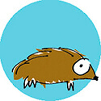 Il riccio
