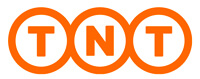 Realizzazione Logo Aziendale Milano - Logo TNT