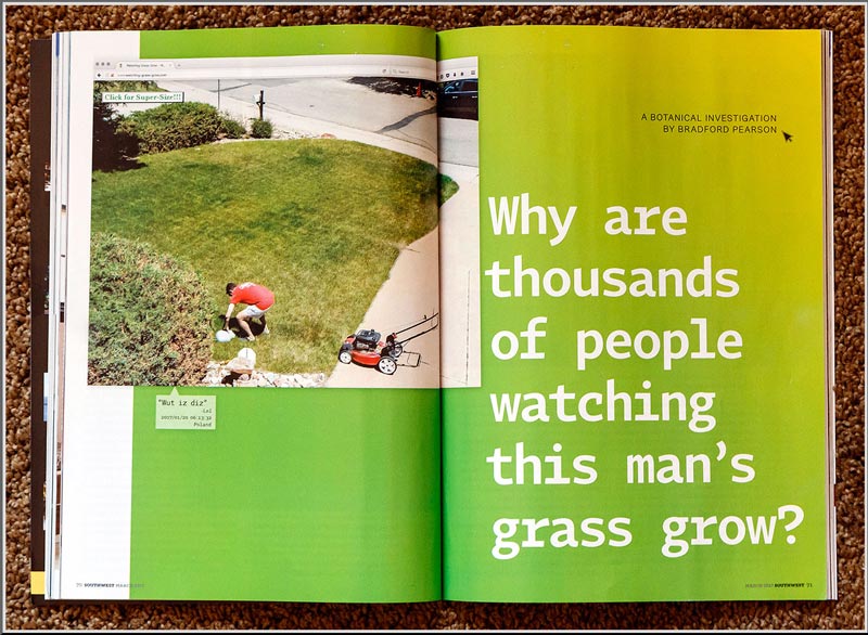 Siti Strani Whatching Grass Grow Journal
