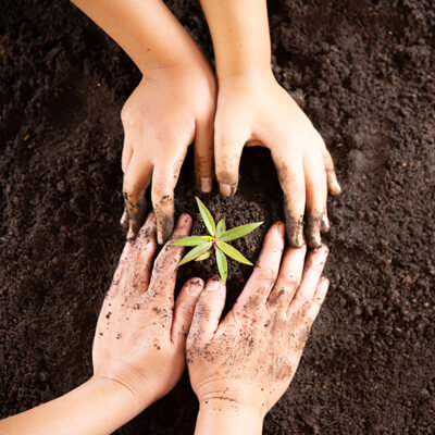 Web Marketing: Investimento sul futuro