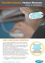 Copertina della scheda del servizio VoiceNet Azienda Medium BTS
