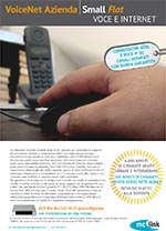 Copertina della scheda del servizio VoiceNet Azienda Small Flat