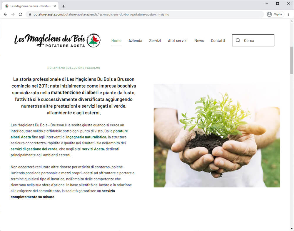 Realizzazione Sito Web Les Magiciens Du Bois Potature Aosta 02
