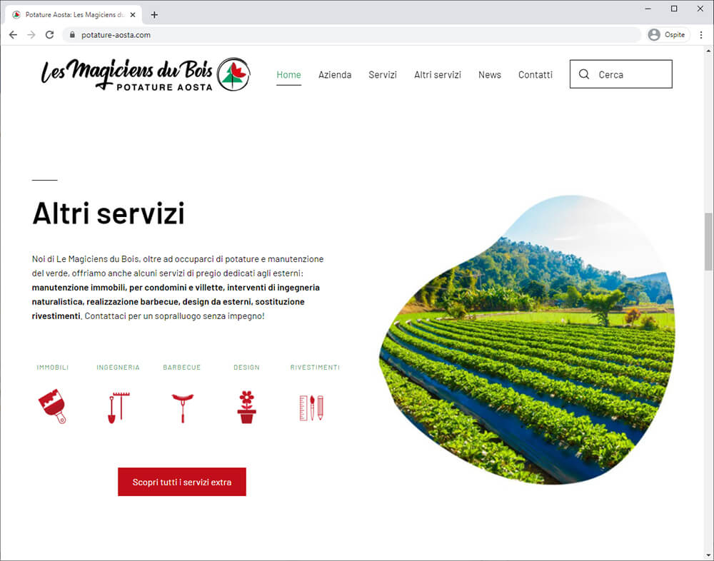 Realizzazione Sito Web Les Magiciens Du Bois Potature Aosta 08