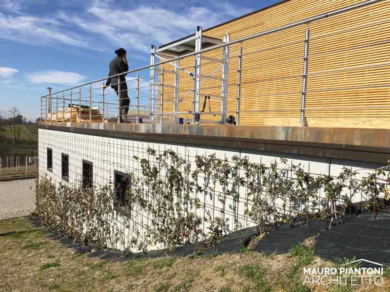 Progetto Finito Cantina Enrico Crola Realizzazione Padiglione Espositivo 02