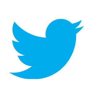 Social Media Marketing Milano:  twitter