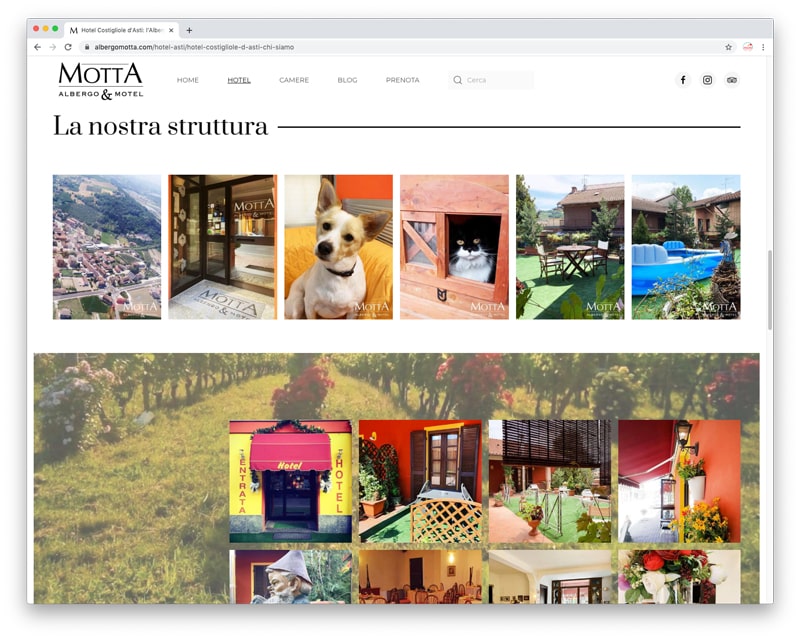 Struttura