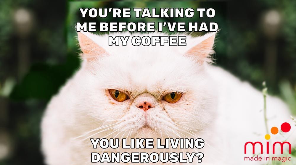 MEME MARKETING: Meme marketing rappresentata da un gatto e il dramma del caffe